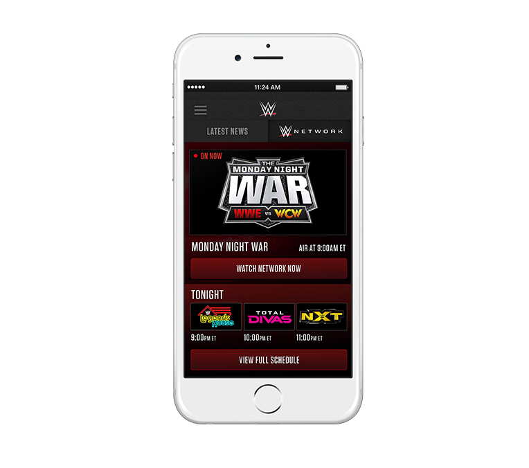 Entertainment-customers-WWE Entertainment-customers-WWE