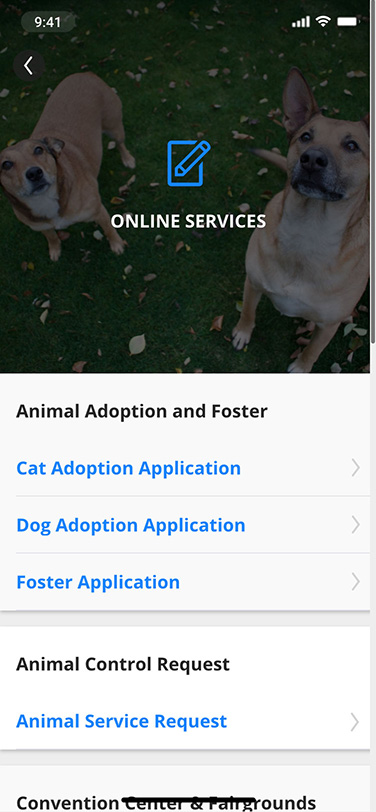 smart-city-online-services smart-city-online-services